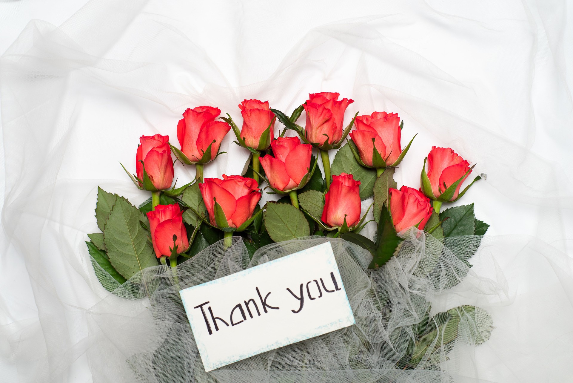 SkiSolv. Ski Resort Software SkiSolv. Ski Resort Software